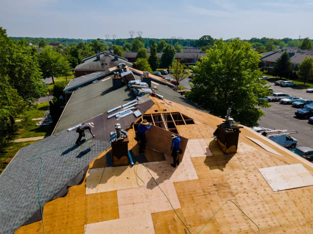 Quick and Trustworthy Emergency Roof Repair Services in Hampton, SC
